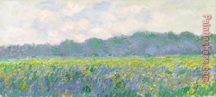 Claude Monet Field of Yellow Irises at Giverny